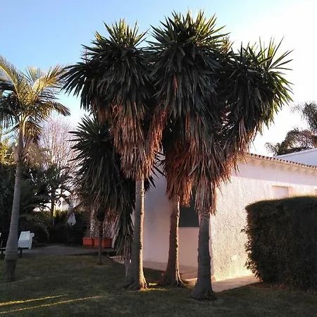 Casa Azahar Y Casa Buganvilla 別荘 *